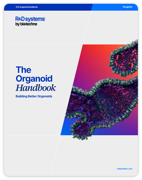 Organoid Culture Handbook Rebrand Image