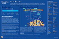 Cancer Metabolism Poster thumbnail
