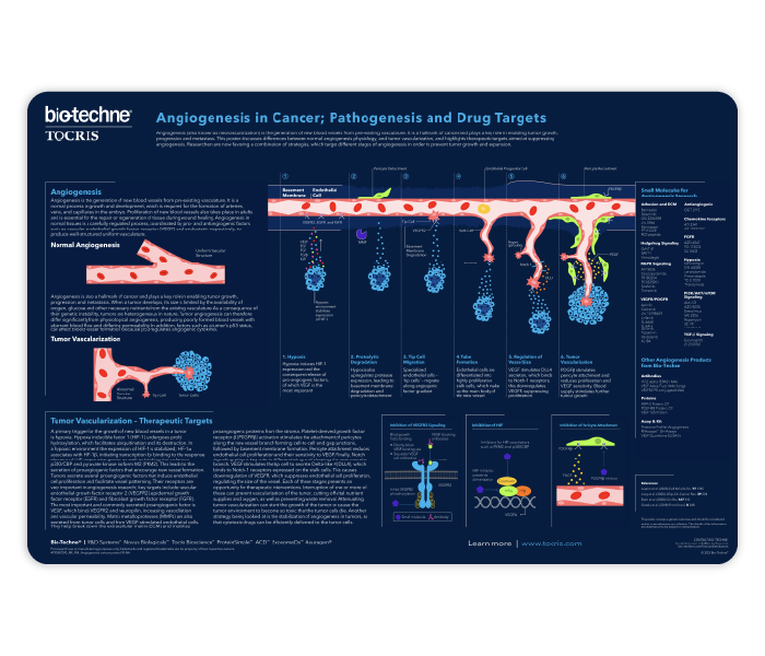 Angiogenesis in Cancer; Pathogenesis and Drug Targets Life Science Poster