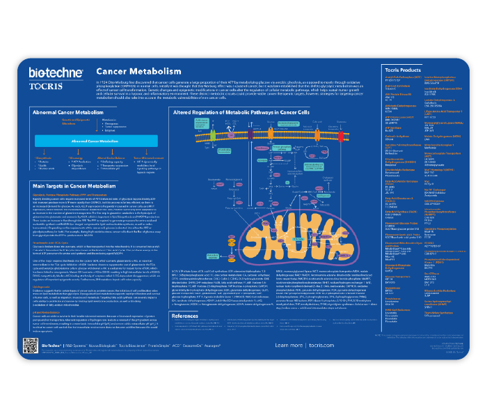 Cancer Metabolism Life Science Poster
