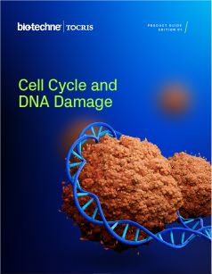 Cell Cycle and DNA Damage Research Product Guide