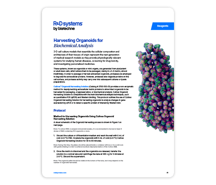 harvesting organoids