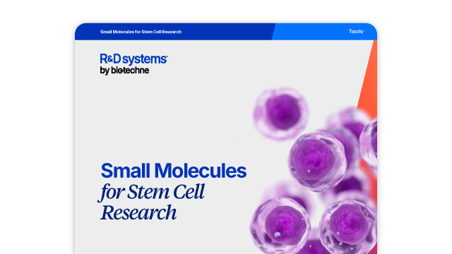 Small Molecules for Stem Cells Brochure Teaser