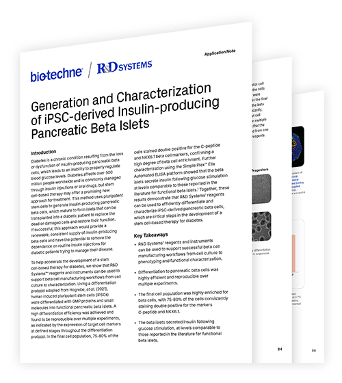 Generation and Characterization of iPSC-derived Insulin-producing Pancreatic Beta Islets Application Note