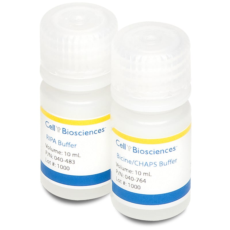 ProteinSimple Bicine/CHAPS Lysis Buffer and Sample Diluent for Simple Western