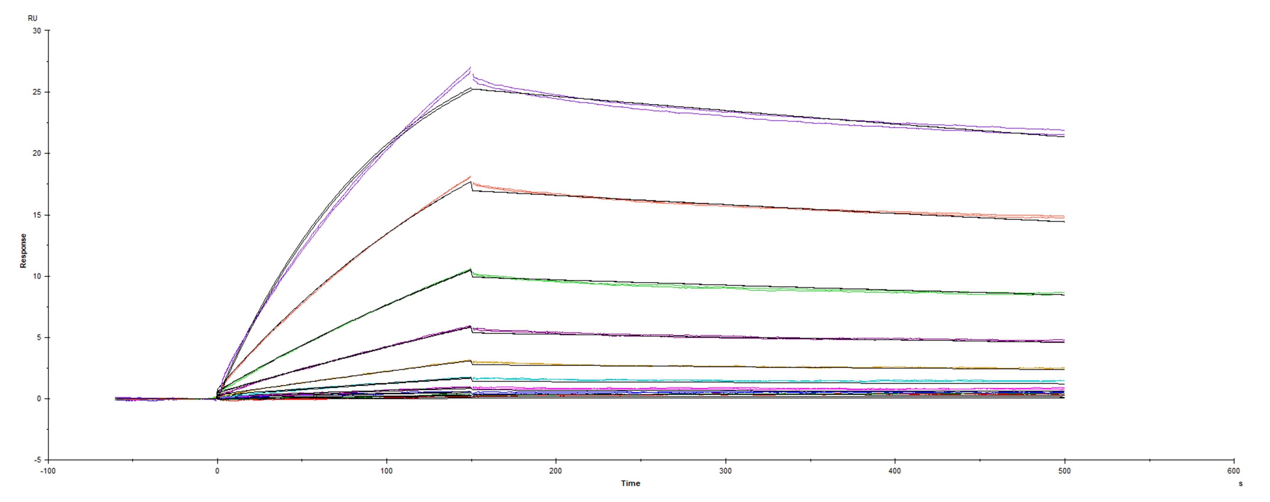 Surface plasmon resonance (SPR) sensorgram of Human ACE-2 binding to SARS-CoV-2 Spike protein, D614G mutant