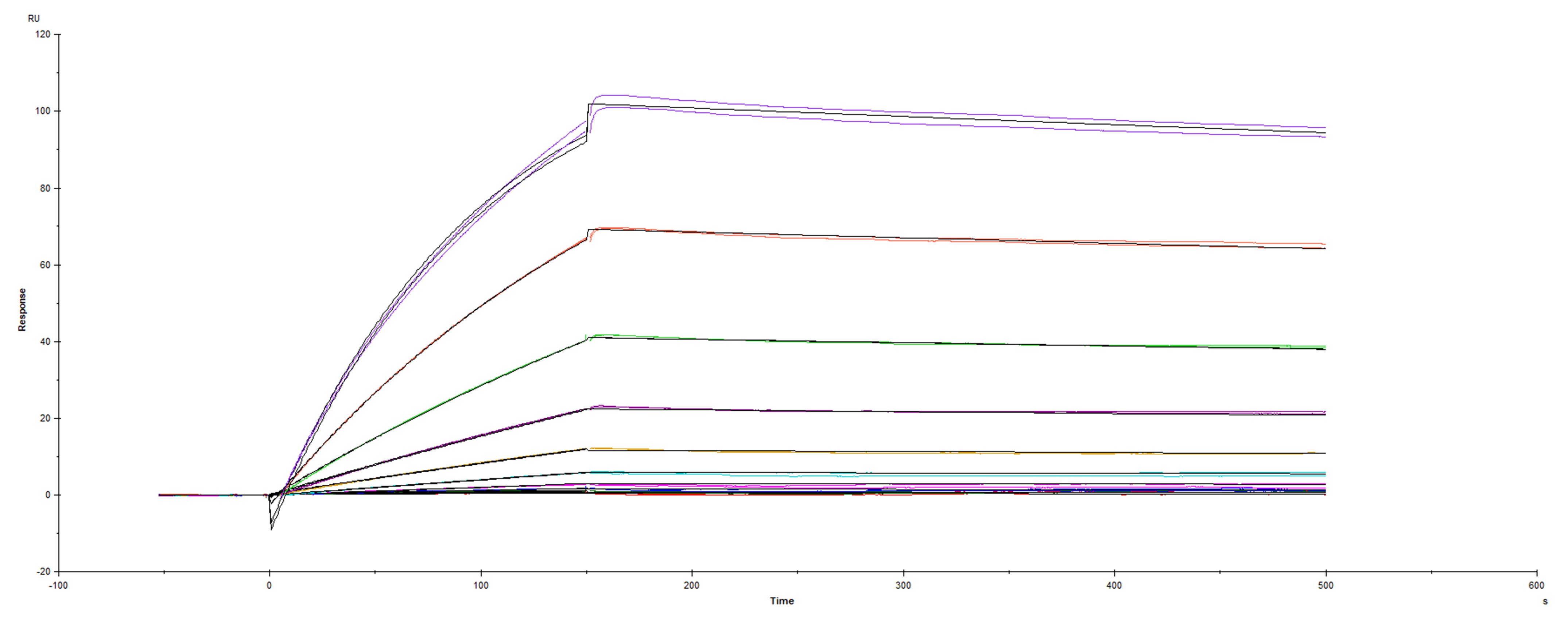 Surface plasmon resonance (SPR) sensorgram of Human ACE-2 binding to SARS-CoV-2 Spike mutant RBD V483A protein