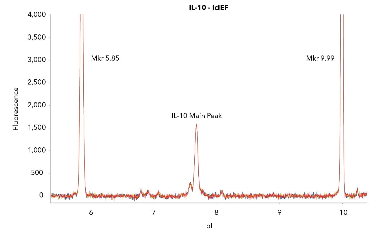 Charge consistency of GMP Human IL-10 Protein
