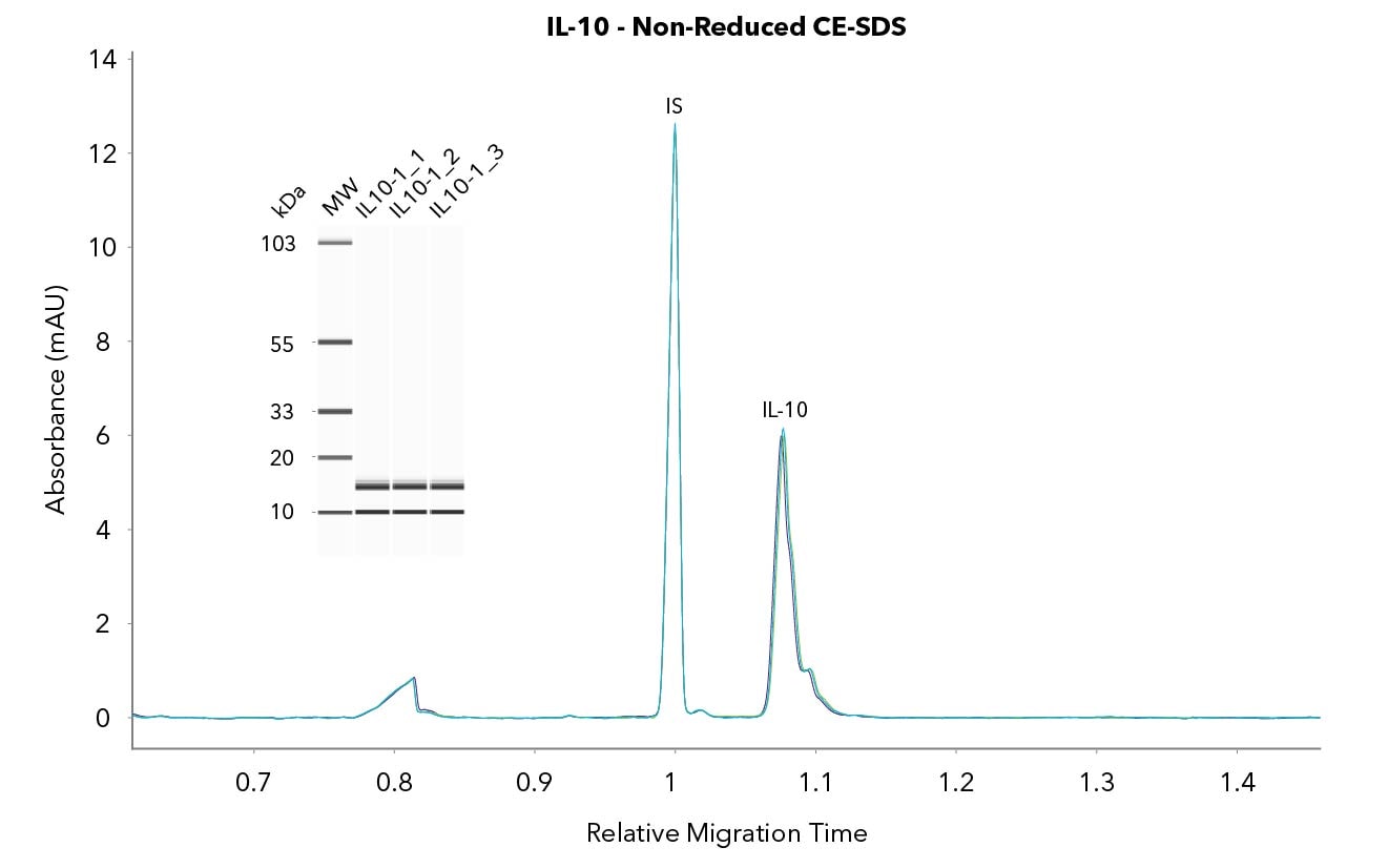 Purity consistency of GMP Human IL-10 Protein