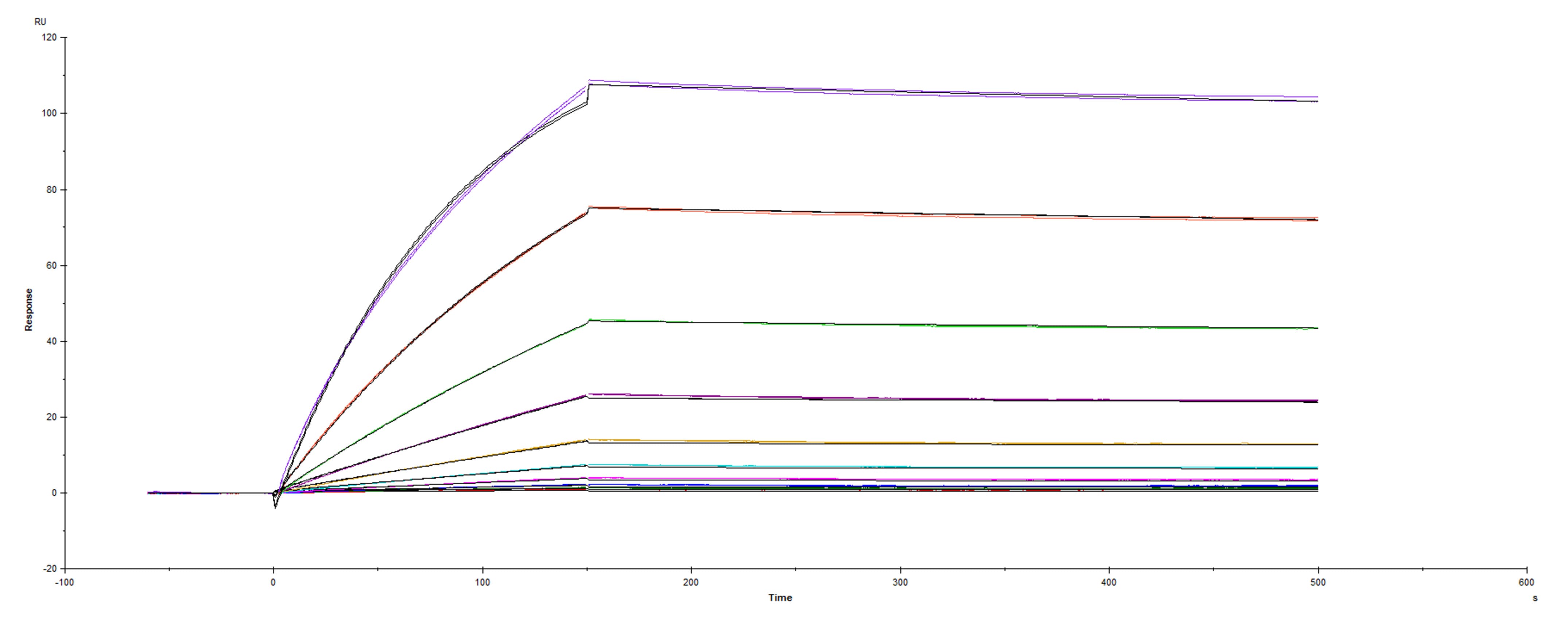 Surface plasmon resonance (SPR) sensorgram of Human ACE-2 binding to SARS-CoV-2 Spike mutant RBD S477N protein