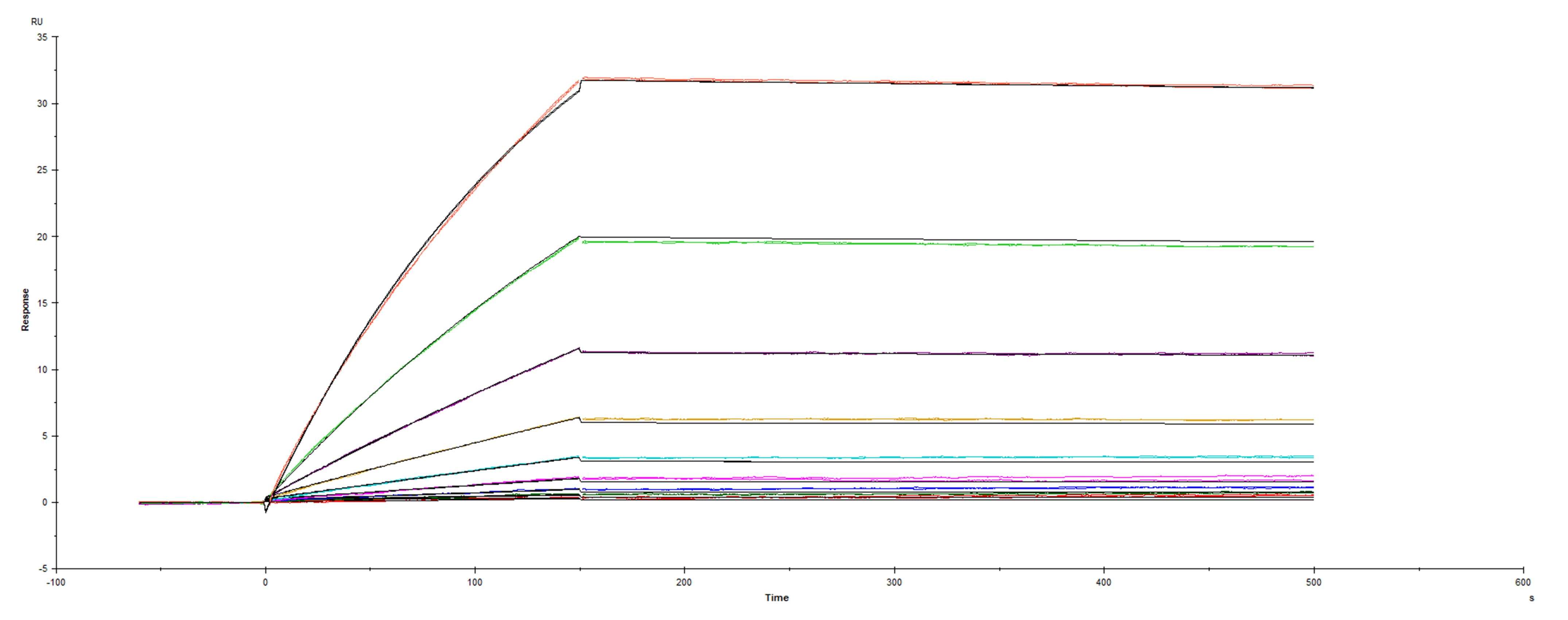 Surface plasmon resonance (SPR) sensorgram of Human ACE-2 binding to SARS-CoV-2 Spike protein Mink Cluster-5 variant