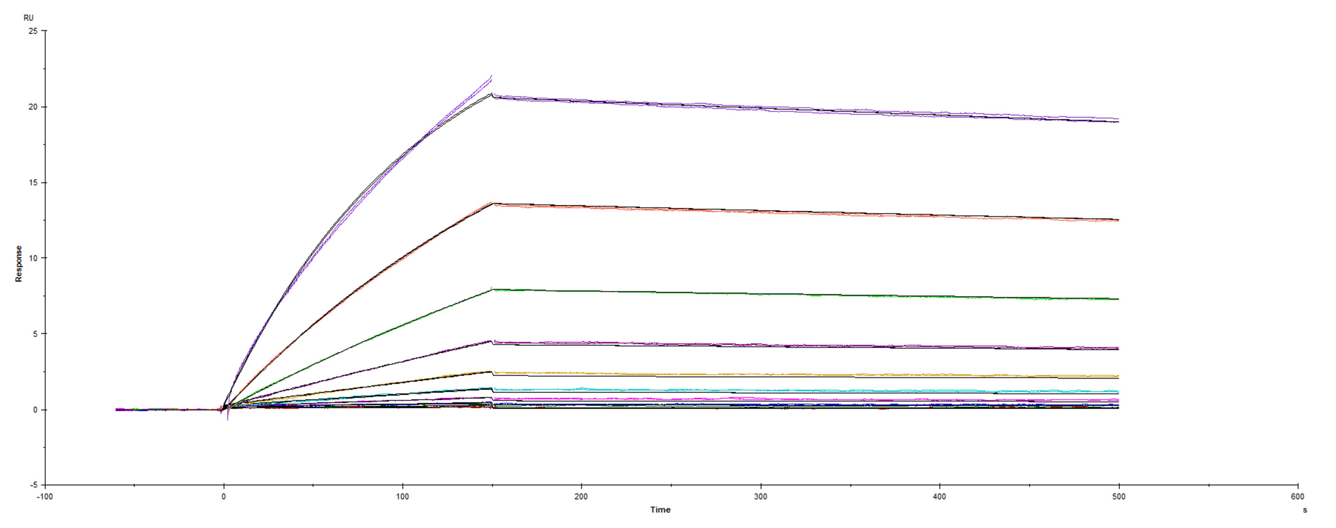 Surface plasmon resonance (SPR) sensorgram of Human ACE-2 binding to SARS-CoV-2 Spike mutant RBD Y453F protein