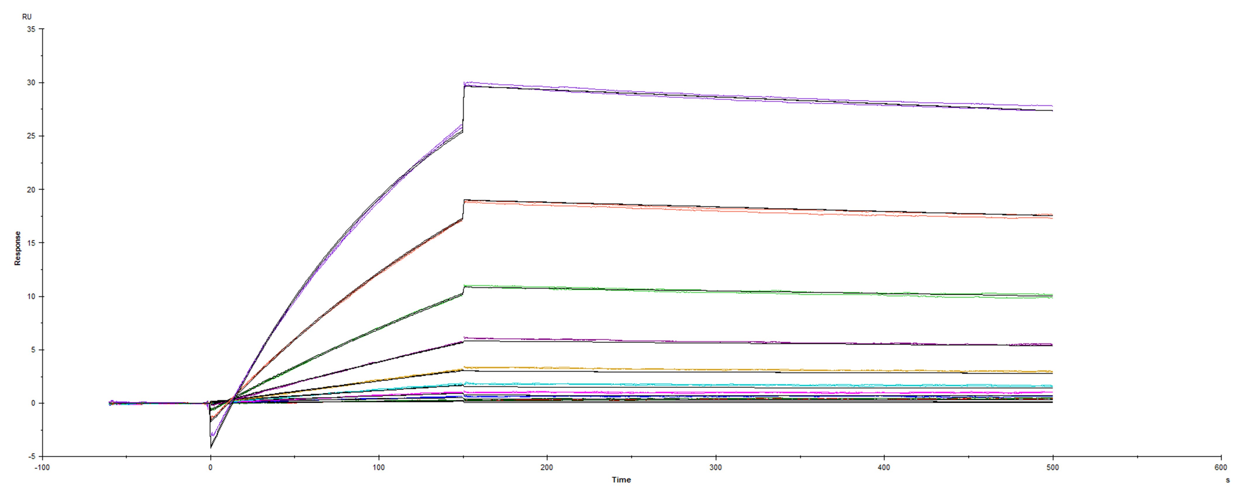 Surface plasmon resonance (SPR) sensorgram of Human ACE-2 binding to 20A.EU2 variant Spike protein S1 subunit mutant protein