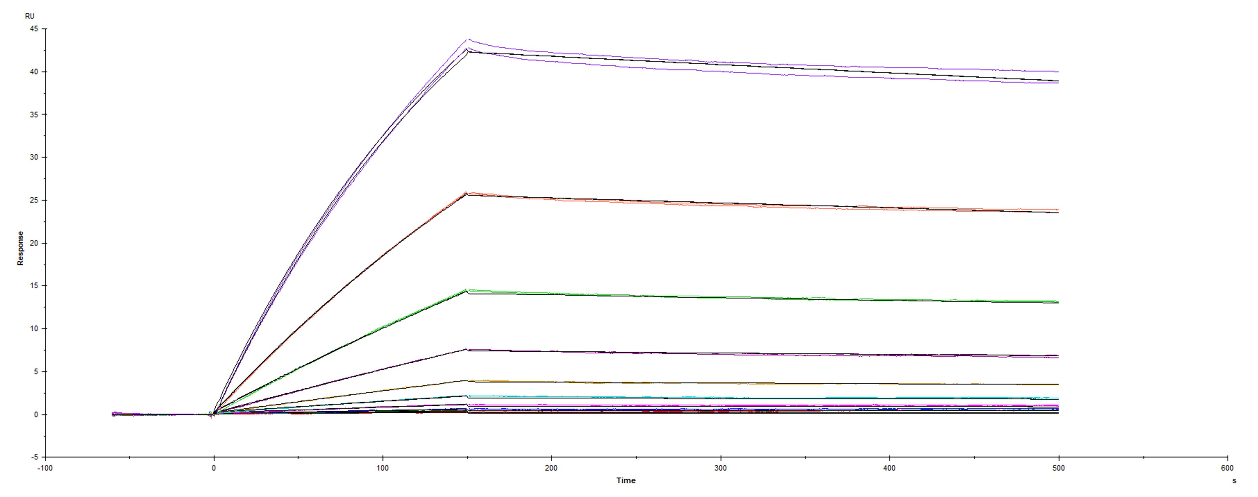 Surface plasmon resonance (SPR) sensorgram of Human ACE-2 binding to CAL.20C variant Spike RBD protein L452R mutant