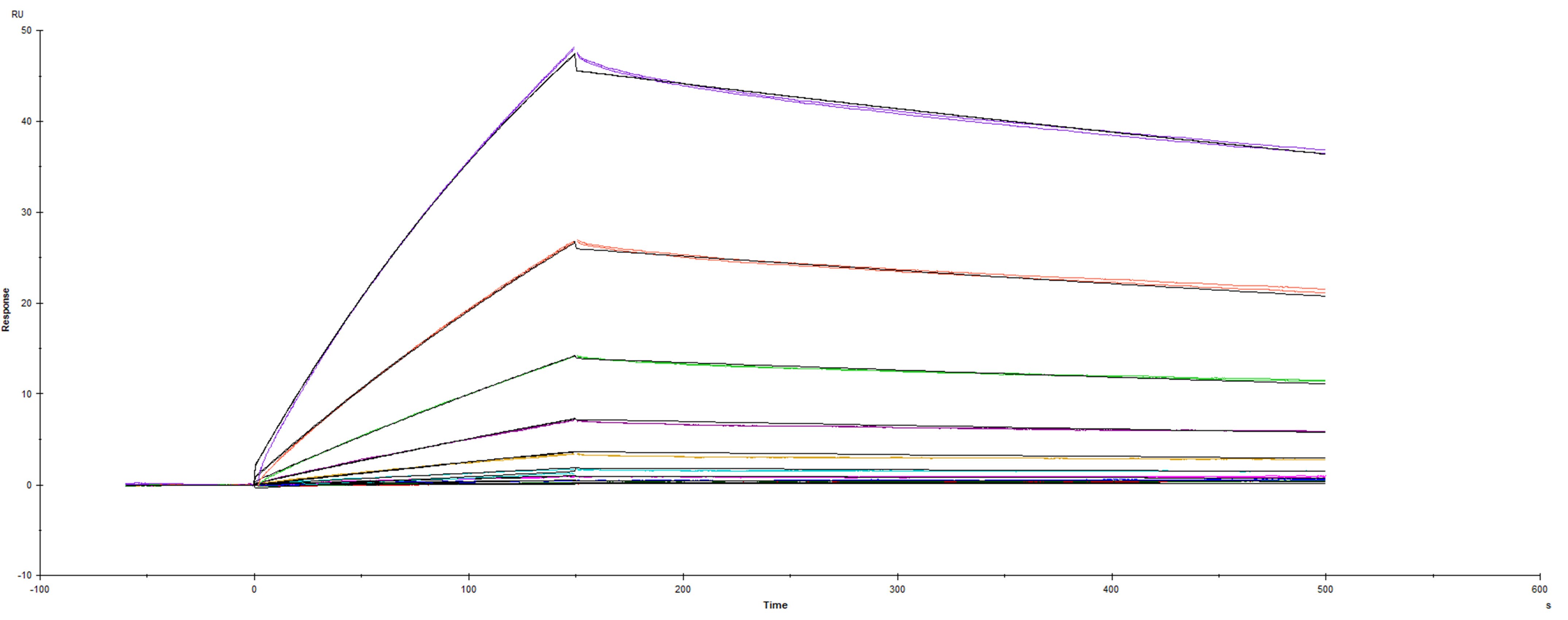 Surface plasmon resonance (SPR) sensorgram of Human ACE-2 binding to SARS-CoV-2 Spike RBD protein F486I Spike mutant