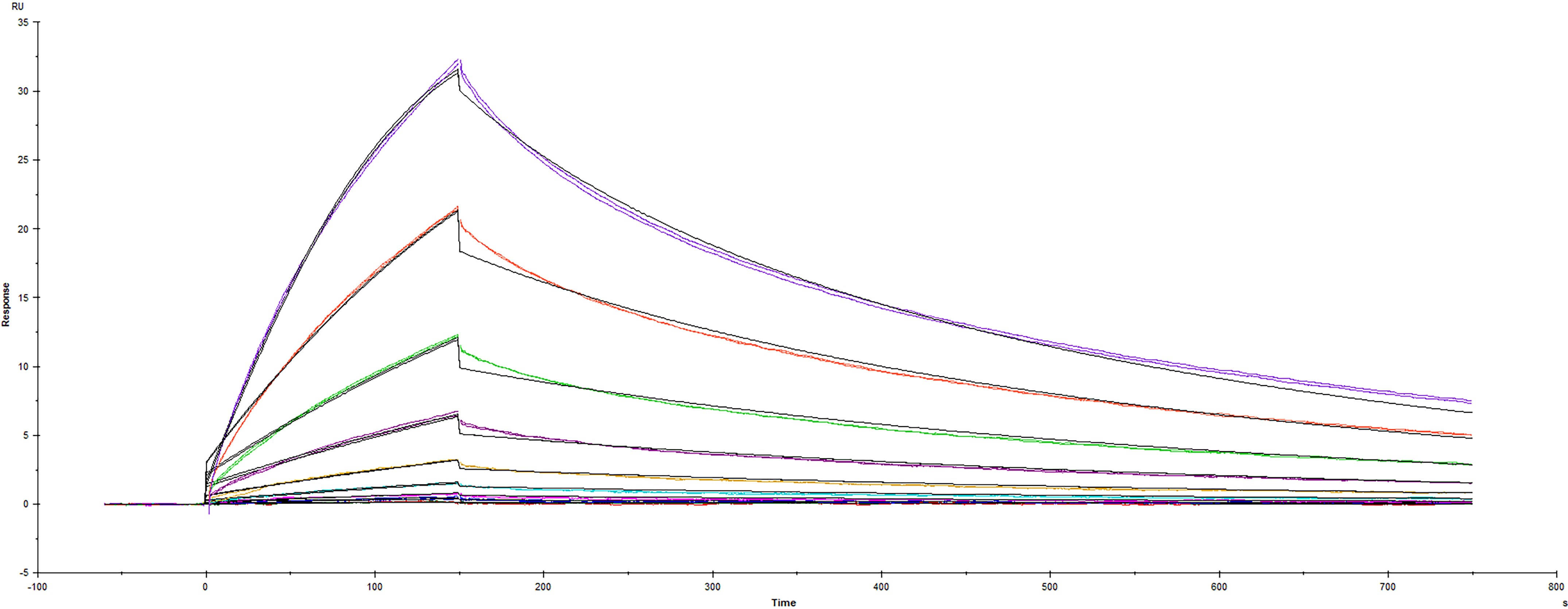 Surface plasmon resonance (SPR) sensorgram of Human ACE-2 binding to SARS-CoV-2 mutant Spike protein RBD Y489H mutation