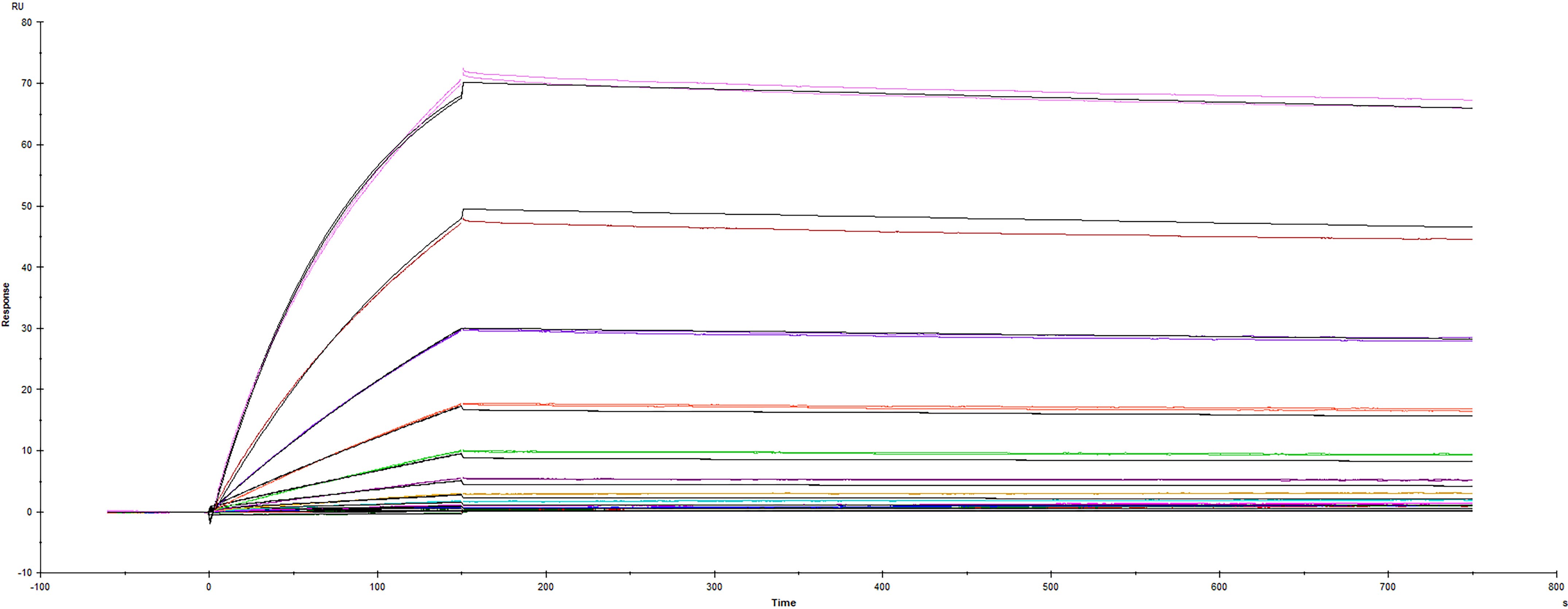 Surface plasmon resonance (SPR) sensorgram of Human ACE-2 binding to SARS-CoV-2 mutant Spike protein B.1.1.7 Alpha variant S494P