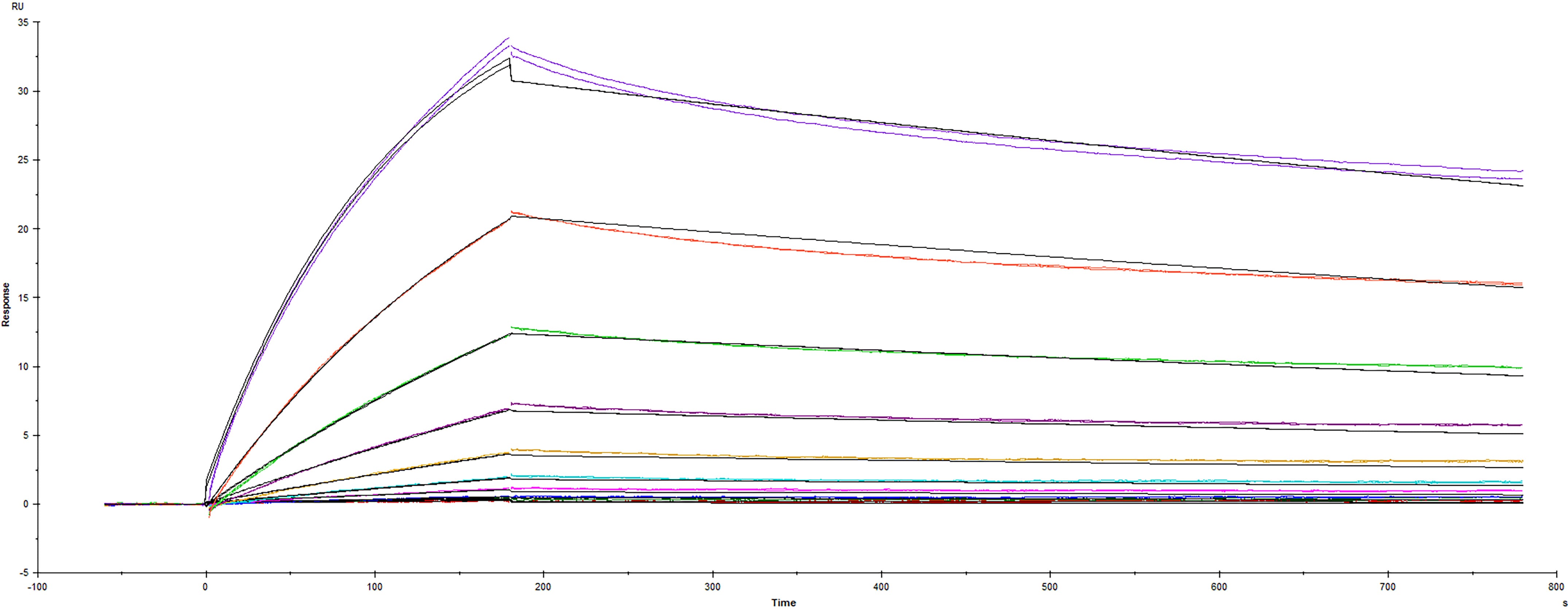 Surface plasmon resonance (SPR) sensorgram of Human ACE-2 binding to SARS-CoV-2 Delta variant Spike RBD protein