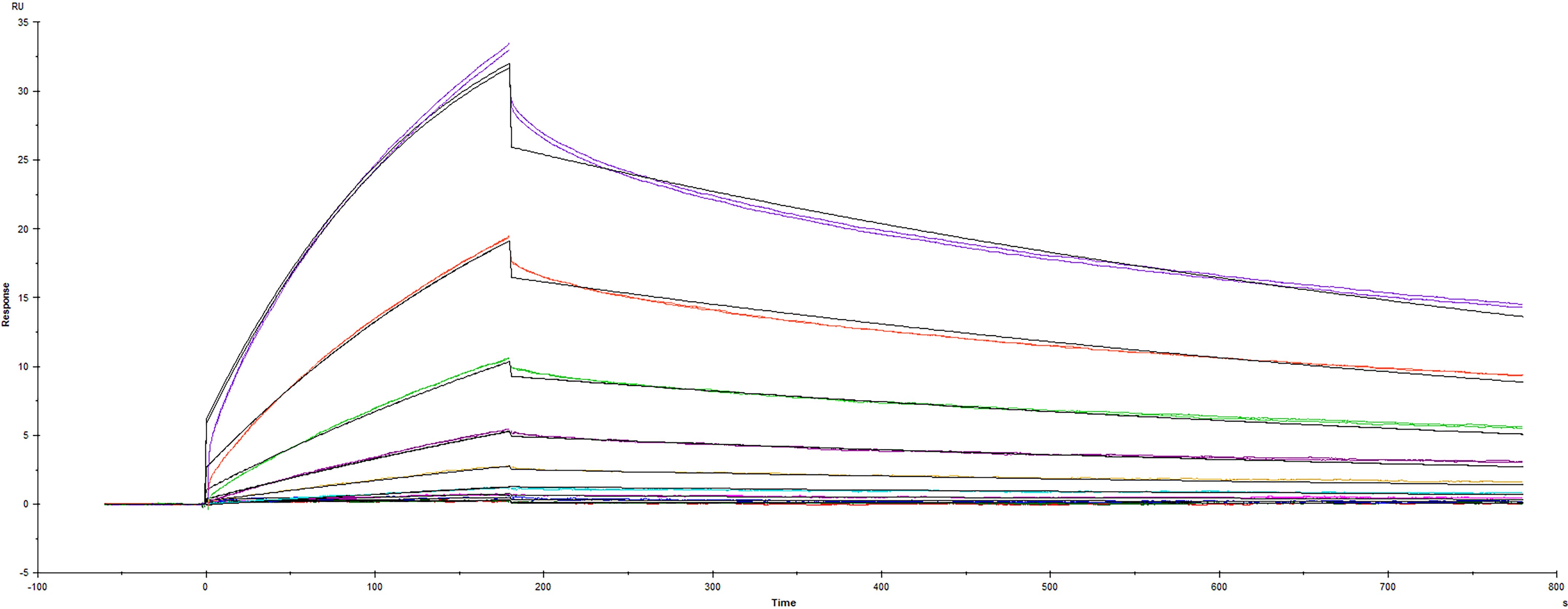 Surface plasmon resonance (SPR) sensorgram of Human ACE-2 binding to SARS-CoV-2 AY.1/AY.2 variant Spike RBD protein