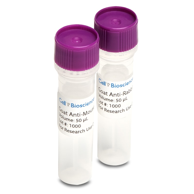ProteinSimple Amplified Mouse Secondary Antibody Detection Kit for Simple Western
