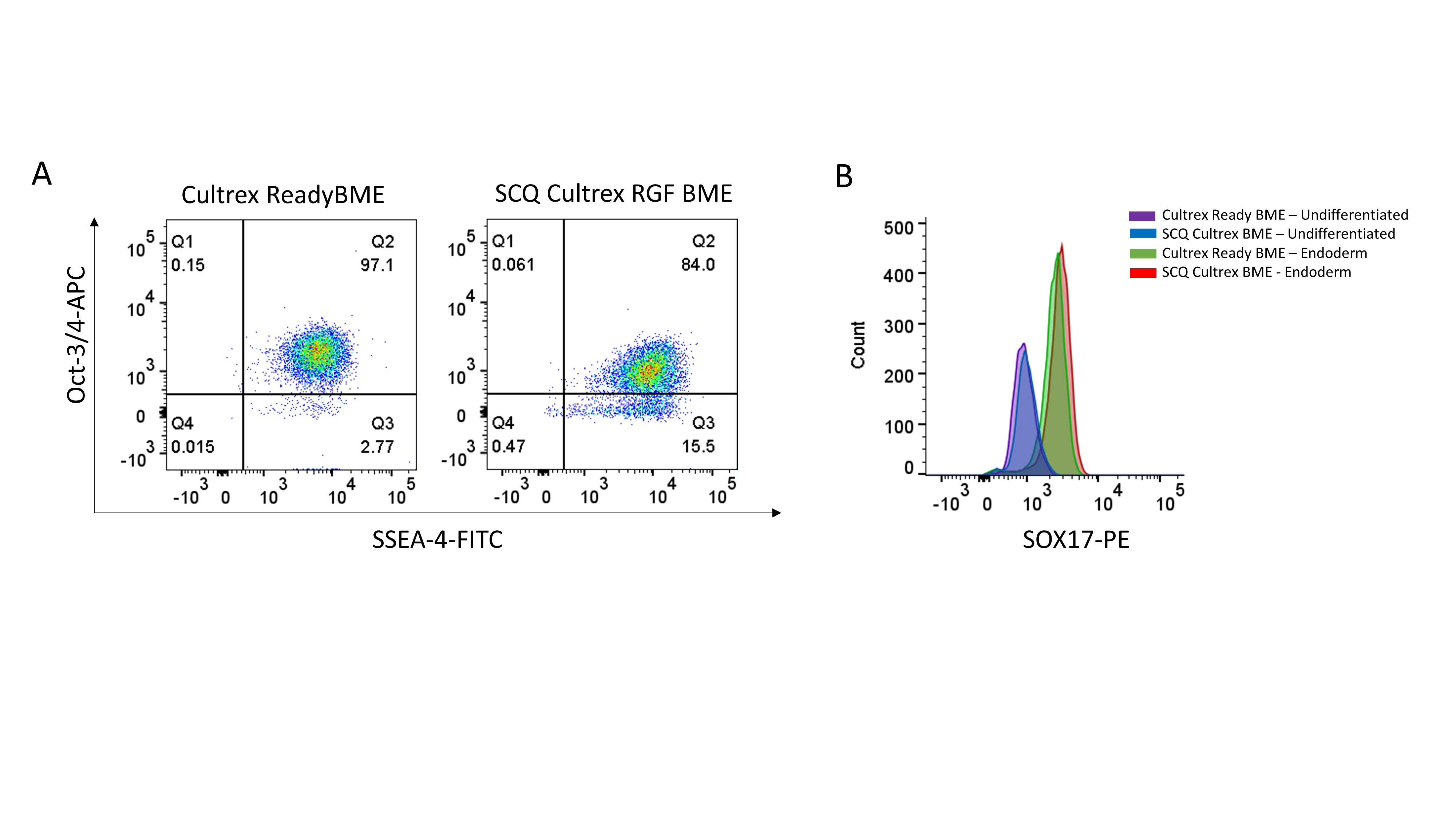 Cultrex ReadyBME Similar Performance to Stem Cell Qualified Cultrex RGF BME