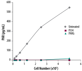 Measurement of PAR Levels in Jurkat Cells_4520-096-K