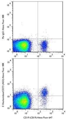 Flow (Cell Surface): 5'-Nucleotidase/CD73 Antibody (AD2) - Azide and BSA Free [NBP2-80552]