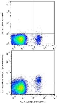 Flow (Cell Surface): 5'-Nucleotidase/CD73 Antibody (AD2) - BSA Free [NBP2-48480]