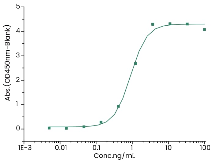 SN 38 Antibody (7) - Azide and BSA Free SN 38 Antibody (7) - Azide and BSA Free