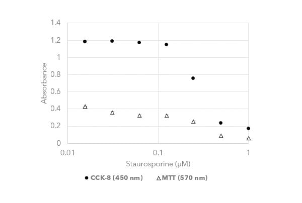 Cytotoxicity Assay