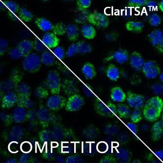 Application of ClariTSA™ Fluorophore Kit 650 in RNAscope Multiplex Fluorescent v2 Assay