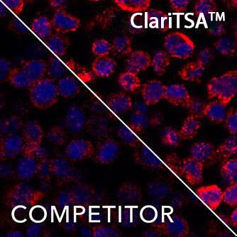 Application of ClariTSA™ Fluorophore Kit 570 in RNAscope Multiplex Fluorescent v2 Assay