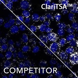 Application of ClariTSA™ Fluorophore Kit 650 in RNAscope Multiplex Fluorescent v2 Assay