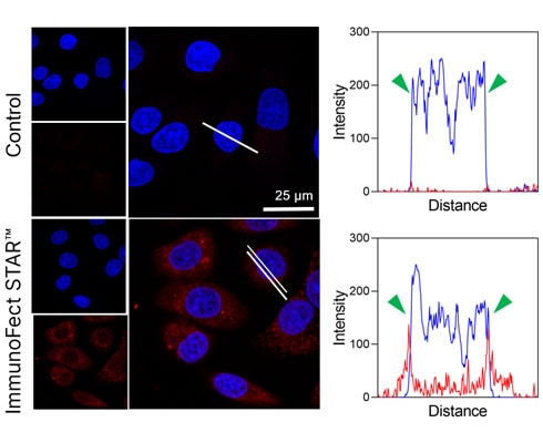 ImmunoFect STAR™ Antibody Transfection Reagent applications