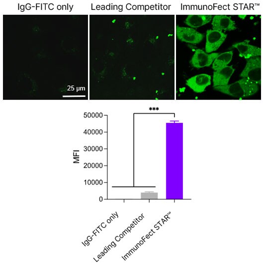 ImmunoFect STAR™ Antibody Transfection Reagent applications