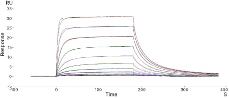 Recombinant Human VISTA/B7-H5/PD-1H His Avi-tag Protein, CF Binding Activity