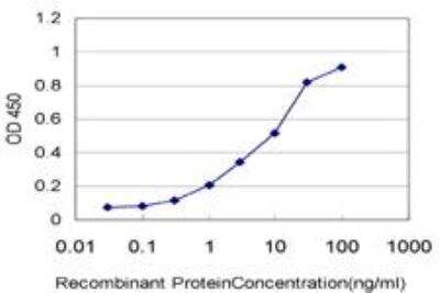 ELISA: A-RAF Antibody (3E2) [H00000369-M05]