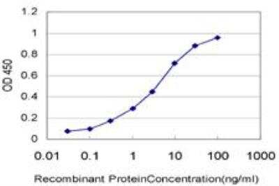 ELISA: A-RAF Antibody (4H7) [H00000369-M03]