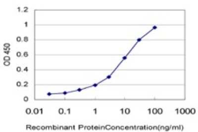 ELISA: A-RAF Antibody (5H8) [H00000369-M02]