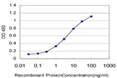 ELISA: A-RAF Antibody (6H6) [H00000369-M01]