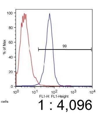 Flow Cytometry: ABCA1 Antibody (5A1-1422.11) - Azide and BSA Free [NBP2-80555]