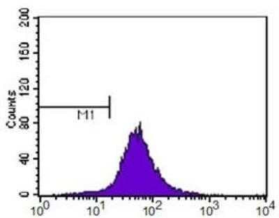 Flow Cytometry Analysis of HeLa Cells Stained with ABCA1 Antibody