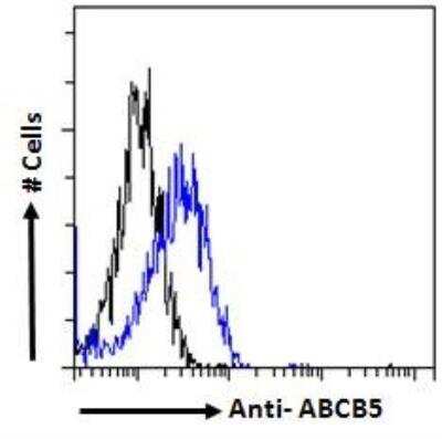 Flow Cytometry: ABCB5 Antibody [NB100-93365]