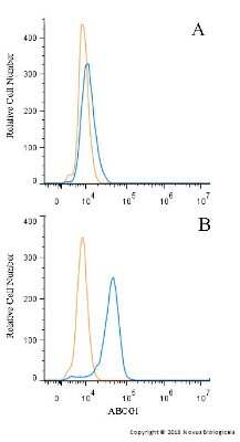 Flow (Intracellular): ABCG1 Antibody - BSA Free [NB400-132]