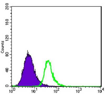 Flow Cytometry: ABCG2/CD338 Antibody (3G8) - BSA Free [NBP2-22124]
