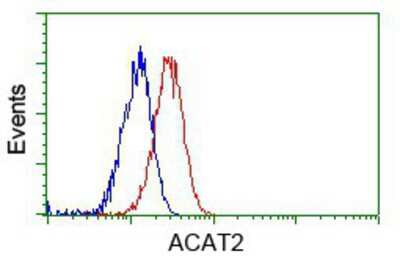 Flow Cytometry: ACAT2 Antibody (OTI3E2) [NBP2-02588]