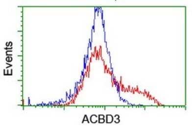 Flow Cytometry: ACBD3 Antibody (OTI1G2) - Azide and BSA Free [NBP2-72148]