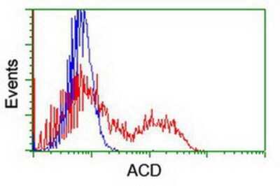 Flow Cytometry: ACD Antibody (OTI1A2) [NBP2-01851]
