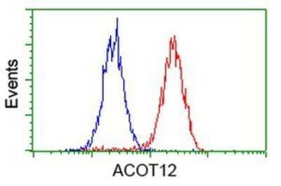 Flow Cytometry: ACOT12 Antibody (OTI1A11) - Azide and BSA Free [NBP2-72389]