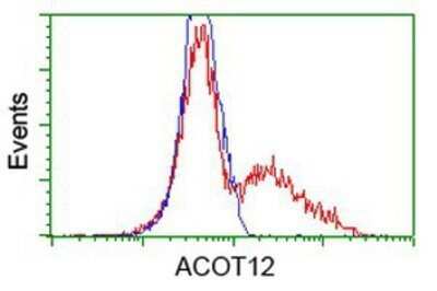 Flow Cytometry: ACOT12 Antibody (OTI1A11) - Azide and BSA Free [NBP2-72389]